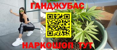 гидра Будённовск