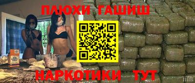 гидра Будённовск