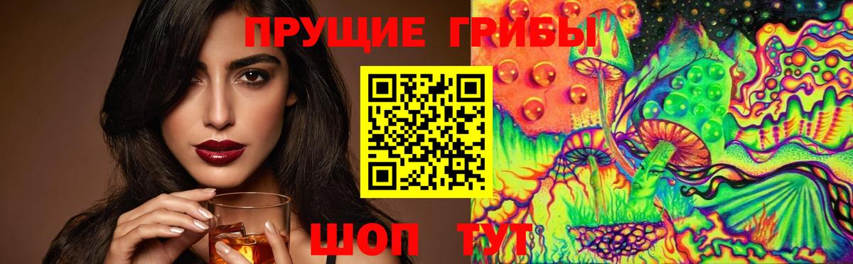 Псилоцибиновые грибы мицелий Слободской